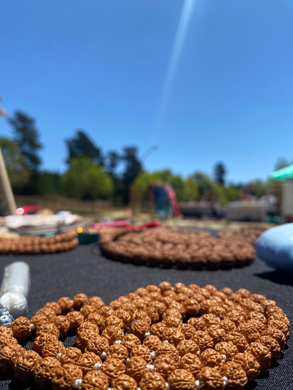 Japa Mala Rudraksha blanco