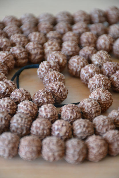 Japa Mala Rudraksha - 13 mm
