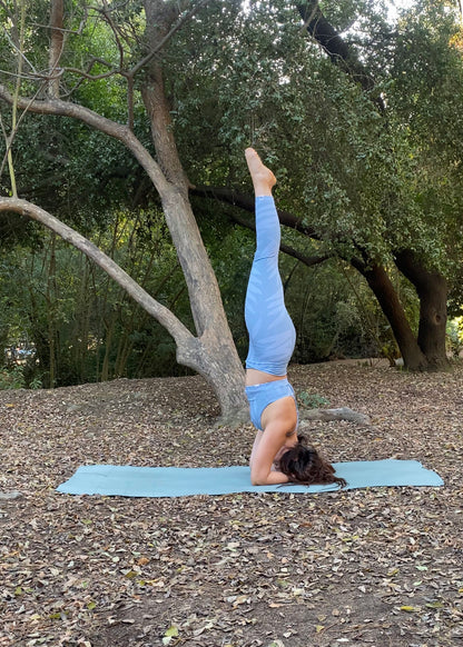 Legging 7/8 Eco Palm Aqua